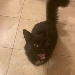 Meet your Posher, Katelyn